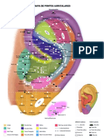 Mapa Auricular PDF