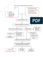 Pathophysiology of Chronic Kidney Disease Risk Factors and Stages