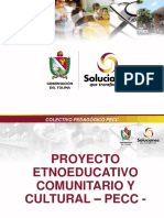 Proyecto Educativo Comunitario Pecc (1)