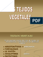 Tejidos_vegetales