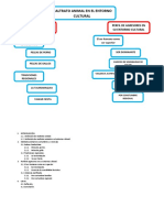 Mapa Conceptual