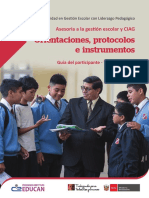 Orientaciones, protocolos e instrumentos asesoría a la gestión escolar y CIAG. Guía del participante, tercer fascículo.pdf