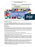 Lectura N°08- PERFIL PROFESIONAL-2019