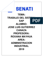 Sistema SAP Jose Luis Gutierrez Canaza