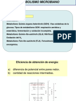 2-metabolismo