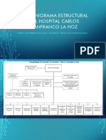 ORGANIGRAMA