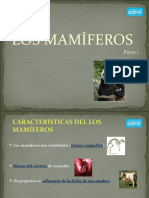 5-PP Mamiferos