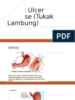 Peptic Ulcer Disease (Tukak Lambung)