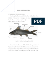 BAB II. TINJAUAN PUSTAKA. Ikan Baung Diklasifikasikan Masuk Ke Dalam Filum - Cordata, Kelas - Pisces, PDF