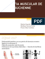 DISTROFIA MUSCULAR DE DUCHENNE - PPTM PDF