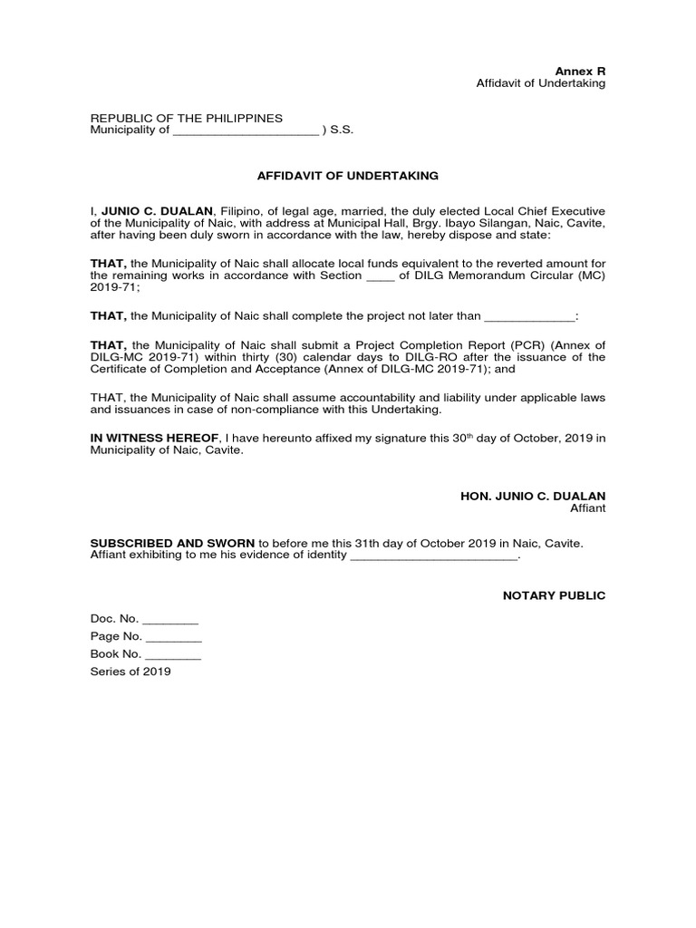 Affidavit of Undertaking Naic 2019 | PDF | Social Science