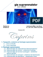 Glandele-Suprarenale Patologie