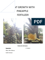 Plant Growth With Pineapple Fertilizer: Vivien B. Permacio