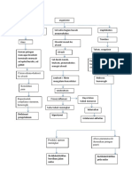 Cap Pathway