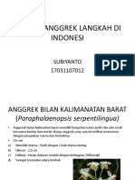 12 Jenis Anggrek Langkah Di Indonesi