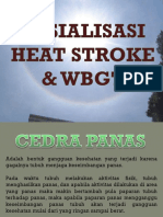 Heat Stroke