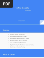 Testing Big Data: Camelia Rad