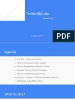 Testing Big Data: Camelia Rad