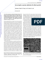 High Surface Area Carbon Aerogels As Porous Substrates For Direct Growth of Carbon Nanotubesw