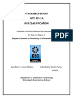 Iris Classification: It Workshop Report (BTCS 305-18)