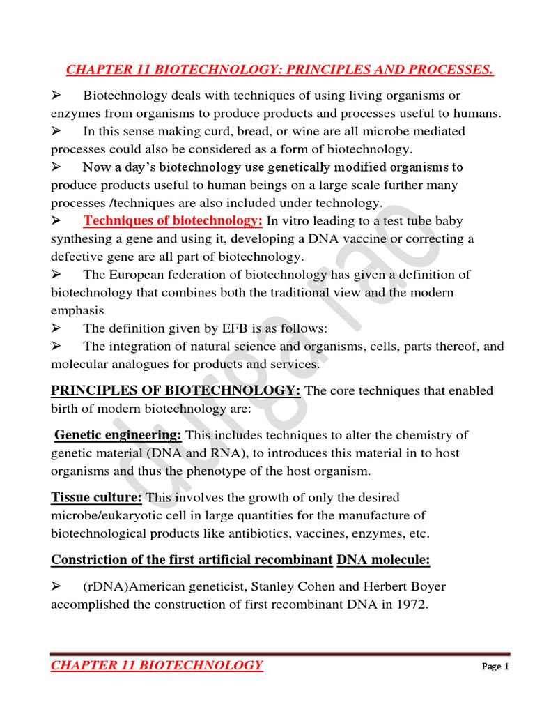 Biotechnology Principles and Techniques | PDF | Molecular Cloning | Plasmid