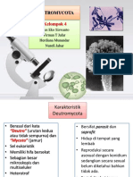 DEUTROMYCOTA