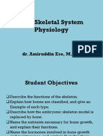 Skeletal System Physiology