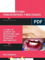 5. Propioceptores Periodontales y Mucosales (1)
