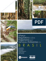 Marco_regulatorio_PSA_Brasil_FGV.pdf