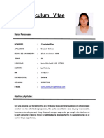 Modelo de CV