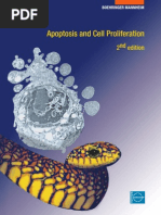 Download Apoptosis and Cell Proliferation by Shruthi Sunderrajan SN43358571 doc pdf