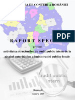 Raport audit