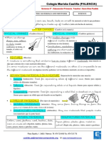 Información a Familias (9)