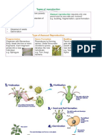 Plant Reproduction Image