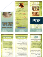 Hijama Brochure