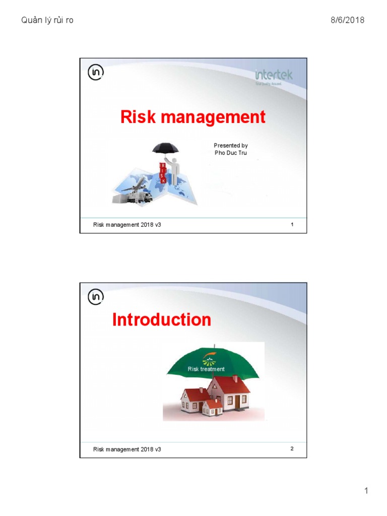 Risk Management Presentation Overview | PDF | Risk Management | Risk