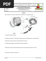 035-ficha_de_revisao_24-10-2016