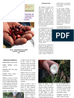 Catalogo de Diez Especies Semillas Nativas Suroccidente pdf-1 PDF