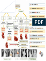 Cardiopatias Congénitas