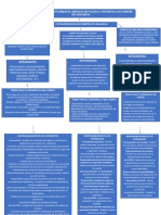 MAPA CONCEPTUAL Lineamientos