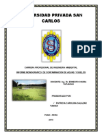308479729-Introduccion-Contaminacion-Por-Eutrofizacion.docx
