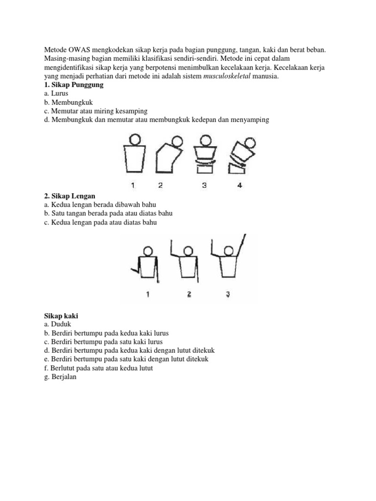 Form Owas | PDF | Kesehatan Holistik