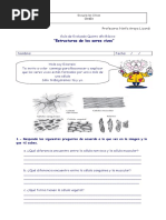 Guia de Celulas 5 Basico