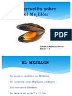 Presentación 1. 3 Mejillon