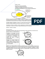 Resumen Termo Pep 1