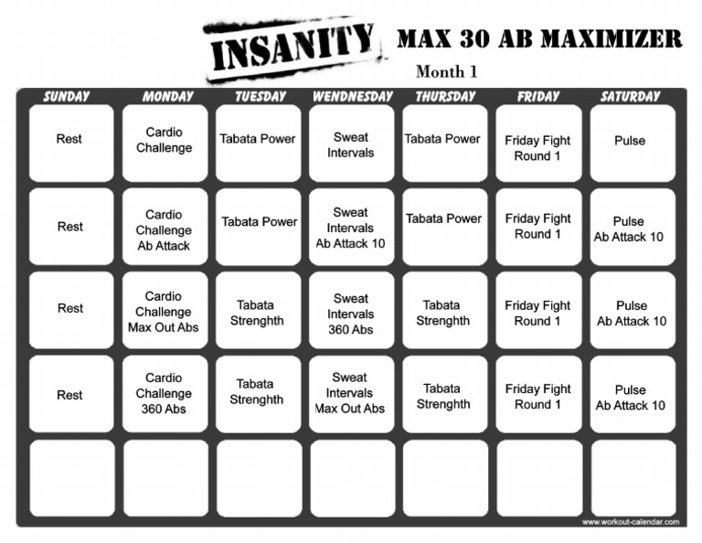 insanity max 30 ab maximizer month 1 pdf