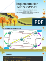 Implementacion de Mpls Rsvp-Te