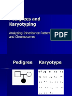 Karyotyping and Pedigrees