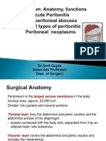 Peritoneum Anatomy and Functions