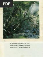 Borboletas Da Serra Do Japi